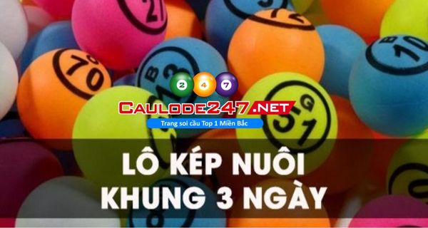 Có nhiều cách soi cầu lô kép VIP mà anh em không nên bỏ qua
