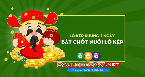 Anh em cần tìm hiểu lựa chọn hình thức vào tiền phù hợp khi nuôi khung lô kép