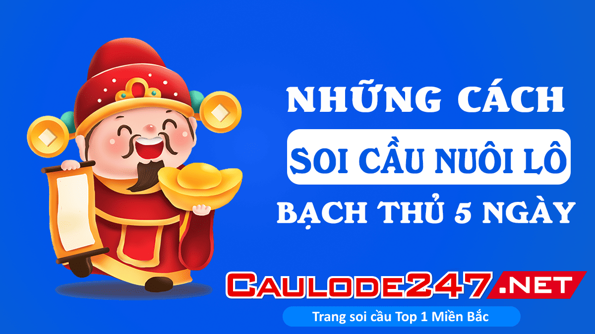 Những cách soi cầu trong nuôi bạch thủ lô khung 5 ngày