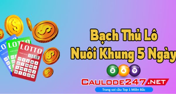 Có nhiều hình thức soi cầu hỗ trợ tìm kiếm bạch thủ lô VIP