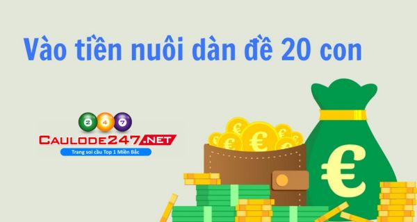 Anh em cần tìm hiểu, áp dụng cách vào tiền nuôi dàn đề hợp lý