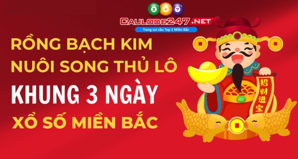Anh em cần tính toán kỹ lưỡng cách vào tiền khi nuôi song thủ lô
