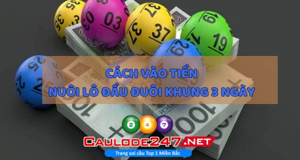 Anh em cần chú ý cách vào tiền, tránh đánh theo cảm tính rất dễ lỗ