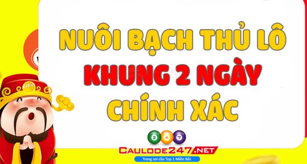 Anh em cần tìm hiểu hình thức vào tiền phù hợp khi nuôi khung bạch thủ
