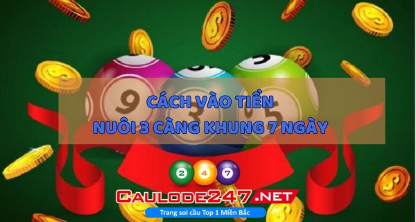 Anh em cần chú ý cách vào tiền khi thực hiện nuôi khung 7 ngày lô 3 càng