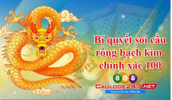 Có sự tính toán kỹ lưỡng khi tham khảo gợi ý soi cầu tại RBK