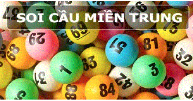 Soi cau mien trung