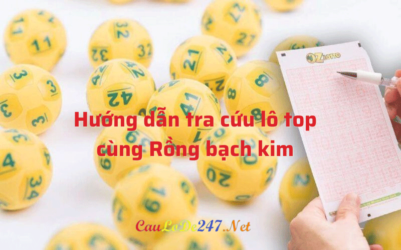lo-top-rong-bach-kim-(1)