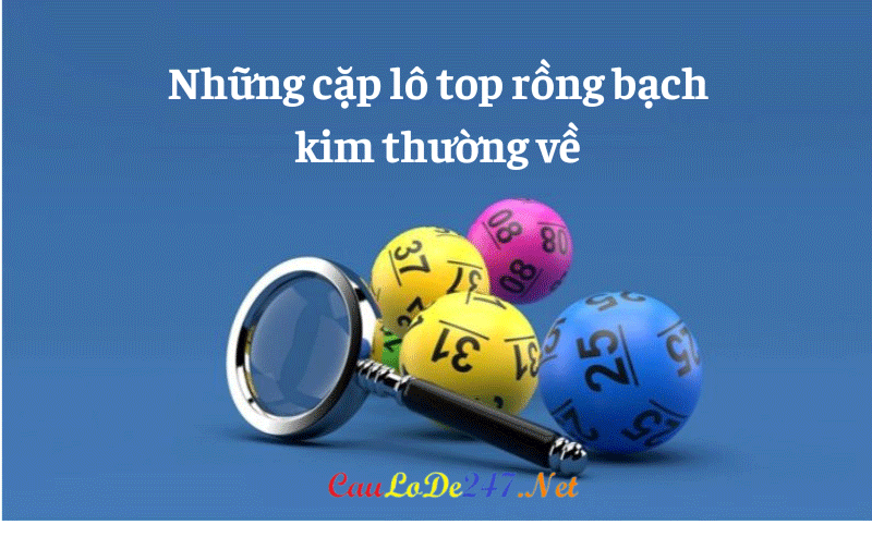 lo-top-rong-bach-kim-(2)