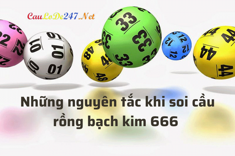 rong-bach-kim-666-(2)