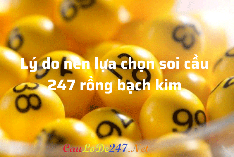 soi-cau-247-rong-bach-kim-(1)
