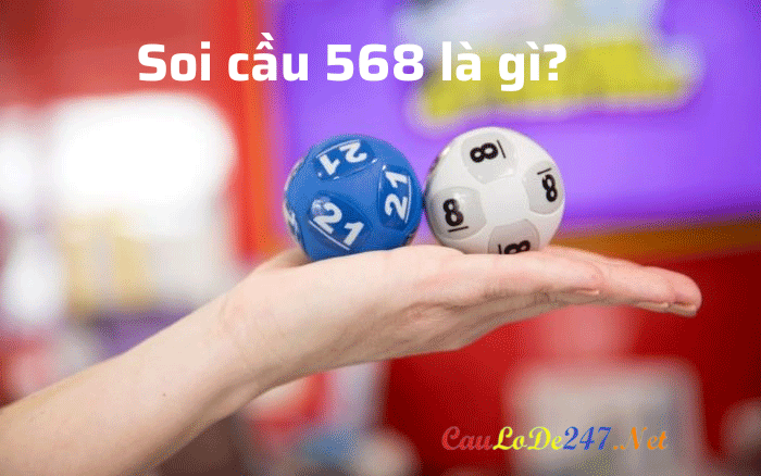 soi-cau-568-(1)