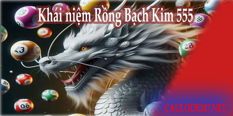 Khái niệm Rồng Bạch Kim 555 