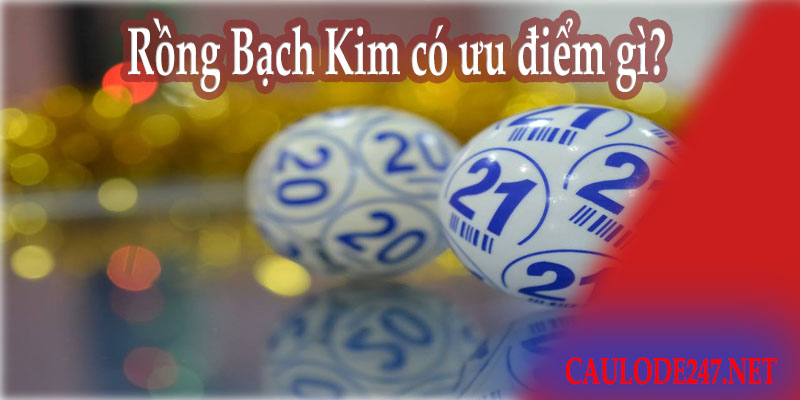 Rồng Bạch Kim có ưu điểm gì?