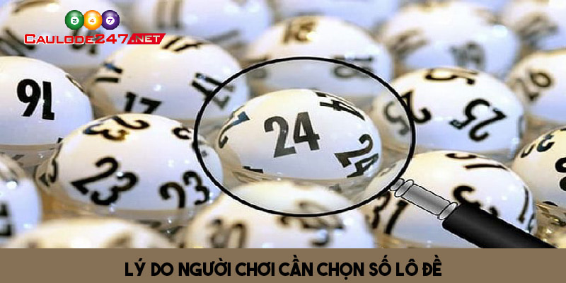 Lý do người chơi cần chọn số khi chơi lô đề 