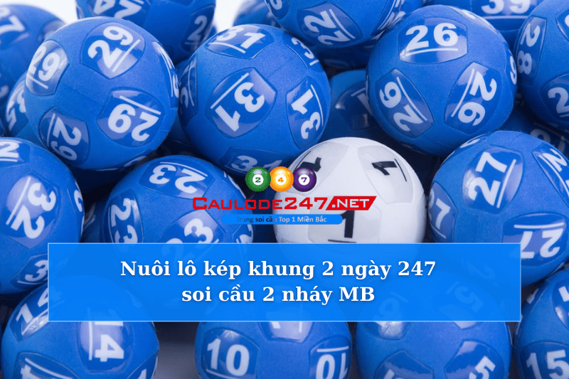 Nuôi lô kép khung 2 ngày 247