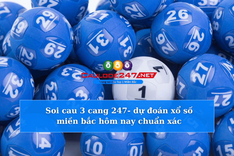 Soi cau 3 cang 247