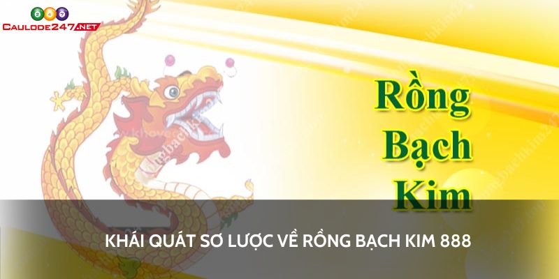 Khái quát sơ lược về rồng bạch kim 888