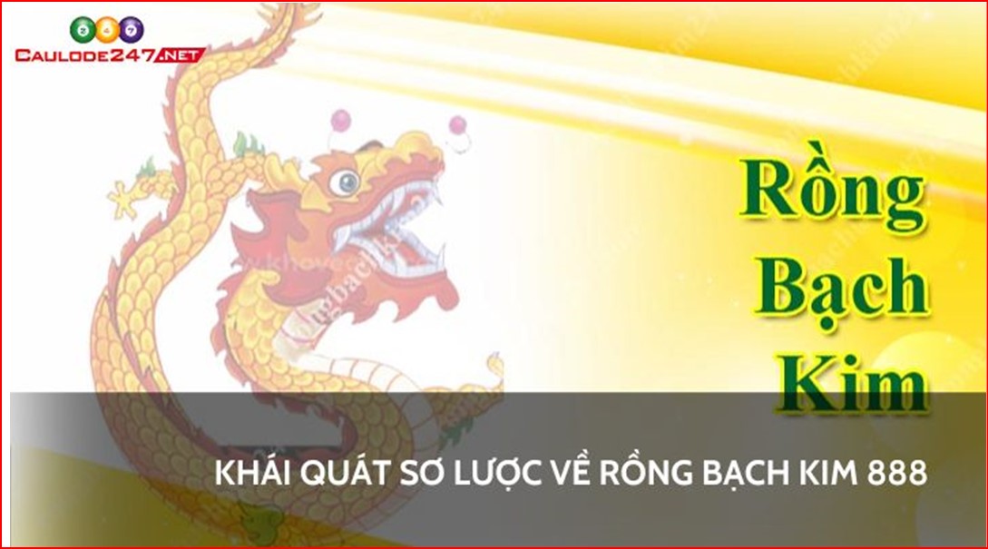 Khái quát sơ lược về rồng bạch kim 888