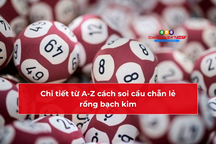 Chi tiết từ A-Z cách soi cầu chẵn lẻ rồng bạch kim