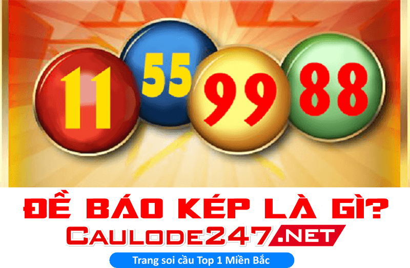 Đề báo kép là gì?