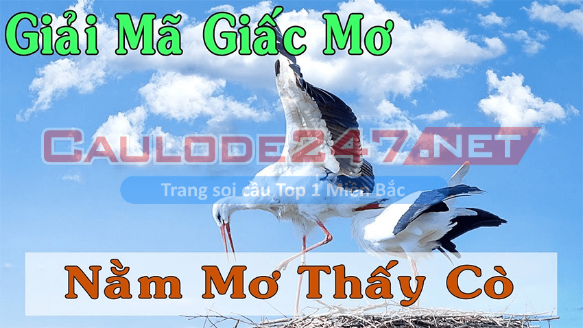 Giải mã giấc mơ con cò chuẩn nhất