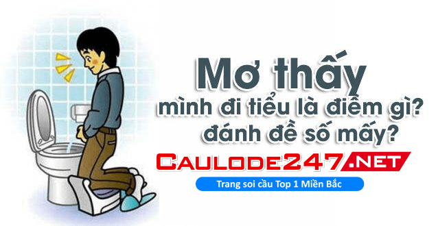 Mơ thấy mình đang đái đánh con gì