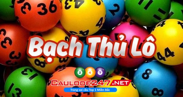 Bạch thủ lô là 1 cặp số đẹp, may mắn được anh em soi cầu chọn ra