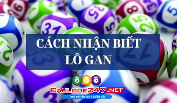 Có nhiều cách giúp anh em nhận biết lô gan lâu chưa về