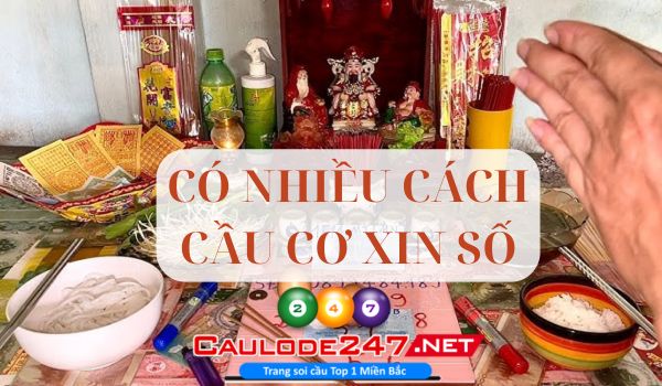 Có nhiều hình thức cầu cơ khác nhau mà anh em có thể tham khảo