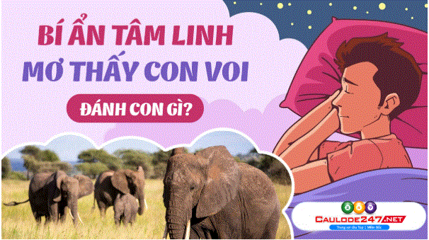 giải mã ý nghĩa về năm mơ thấy con voi