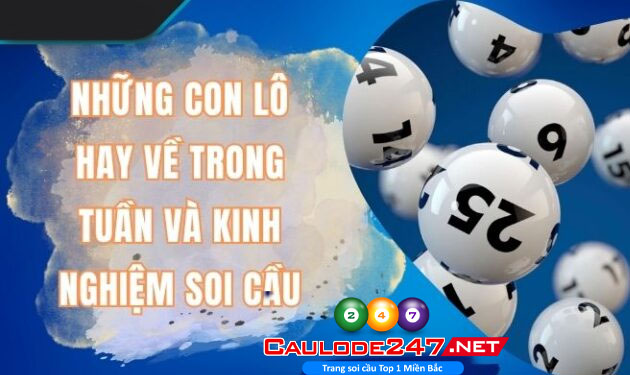 Bật mí những con lô hay về trong tuần nhất