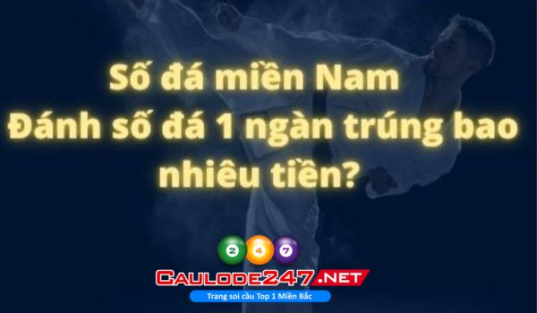 Tỷ lệ thưởng khi trúng số đá khá hấp dẫn